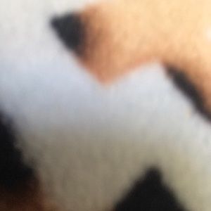 Meet your Posher, Rey